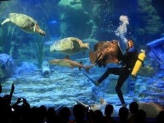 東湖海洋世界