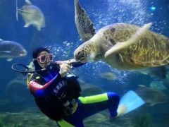 東湖海洋世界