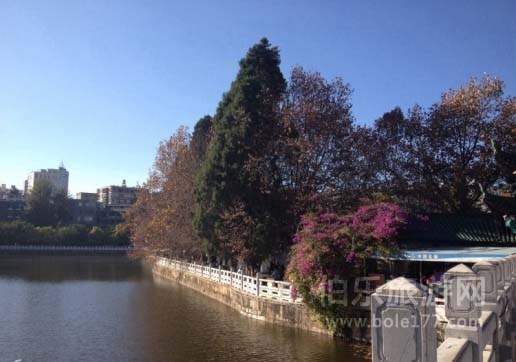 昆明公園