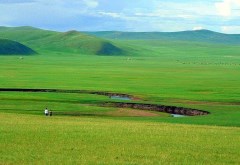 呼倫貝爾草原風(fēng)景.jpg