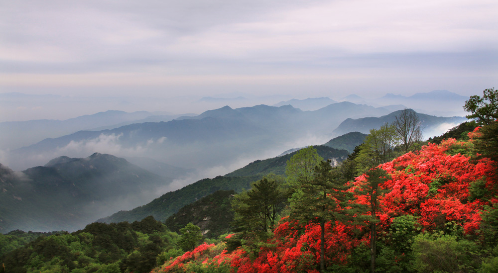 大別山